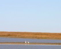 Makgadikgadi Pans